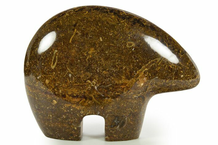 Carved Crinoid Fragments In Limestone Zuni Bear #344919